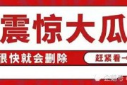娱乐八卦每日吃瓜汇总